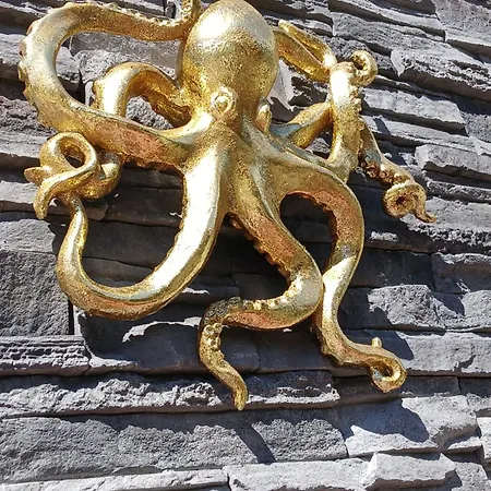 Octopus Διαμέρισμα