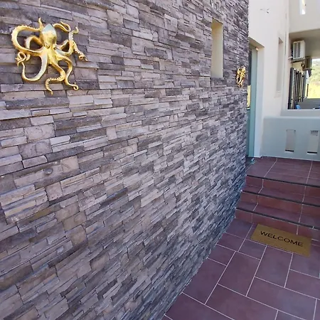 Octopus Василики