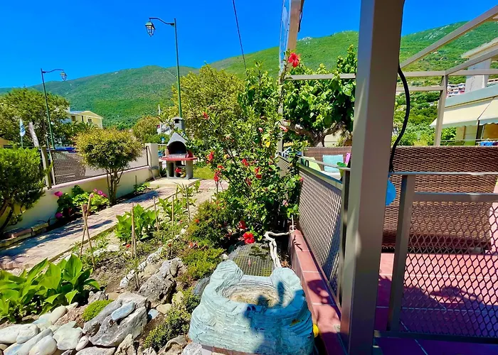 Octopus Διαμέρισμα