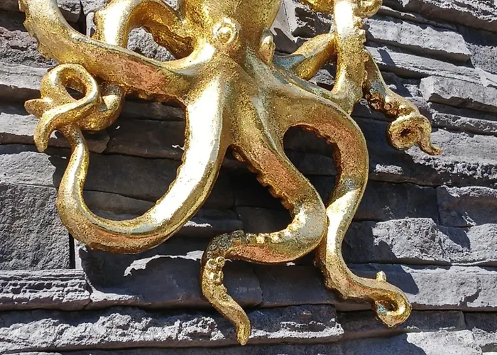 Octopus Διαμέρισμα